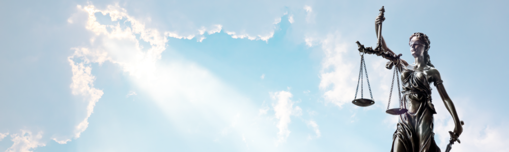 <p>Testimony & Litigation Support Services</p>
